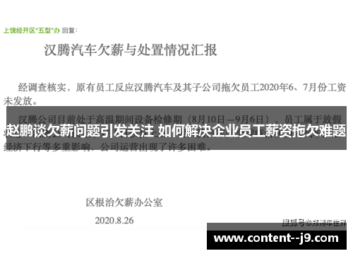 赵鹏谈欠薪问题引发关注 如何解决企业员工薪资拖欠难题